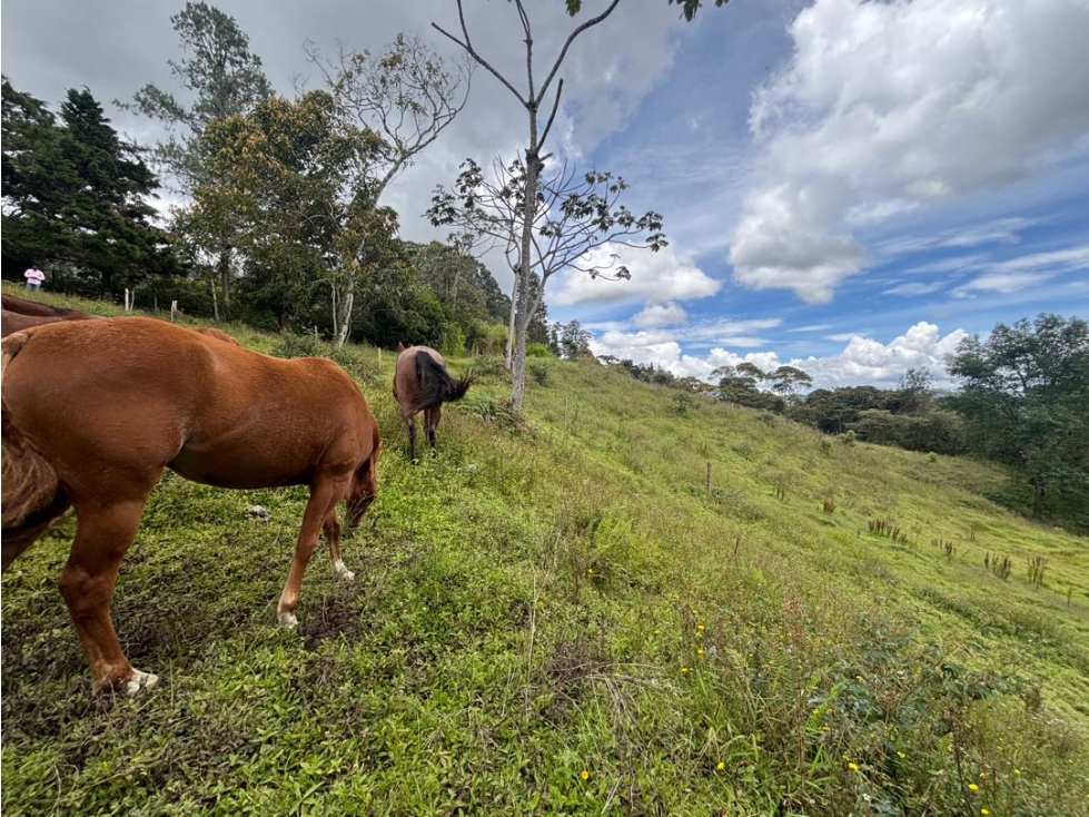 Venta lote El Tablazo 25.000 m² en parte alta con vista abierta — foto 5