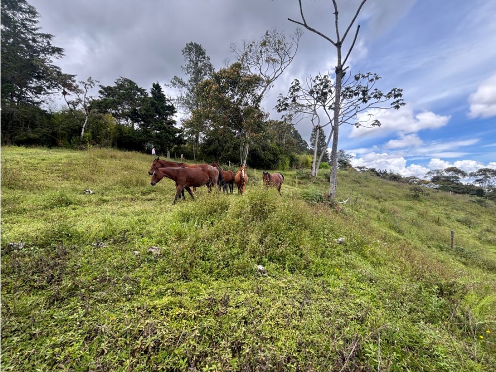 Venta lote El Tablazo 25.000 m² en parte alta con vista abierta — foto 6
