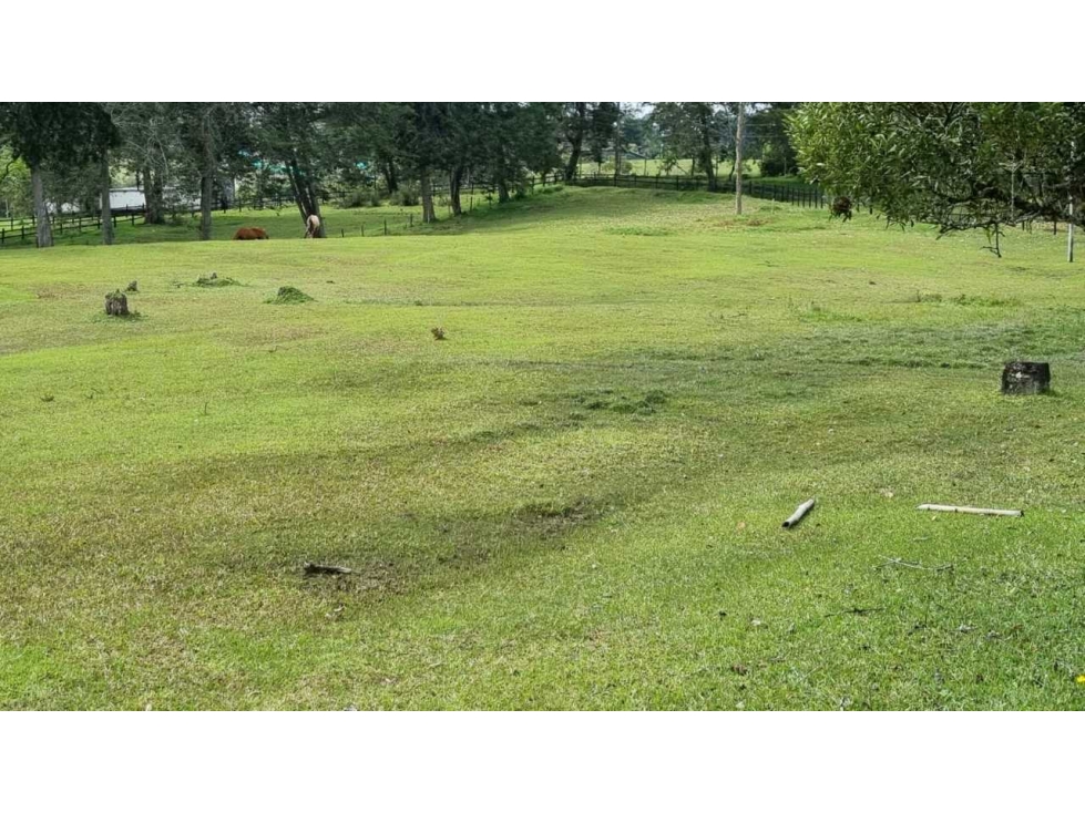 Venta Lote El Retiro frente a Montesereno