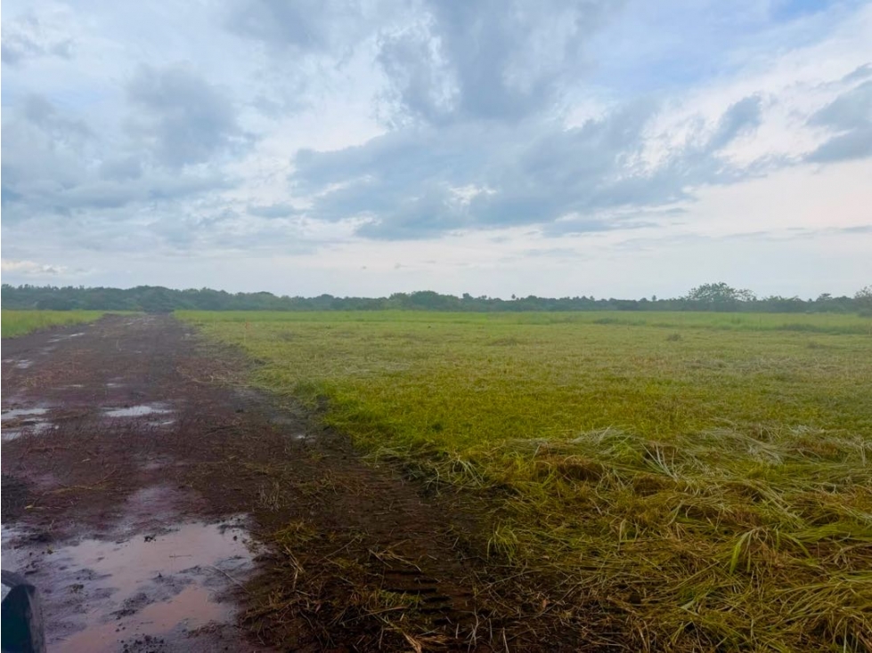 VENTA LOTE EN ANTÓN ÁREA FRESCA TU PROYECTO EMPIEZA AQUÍ 600M2 - 1