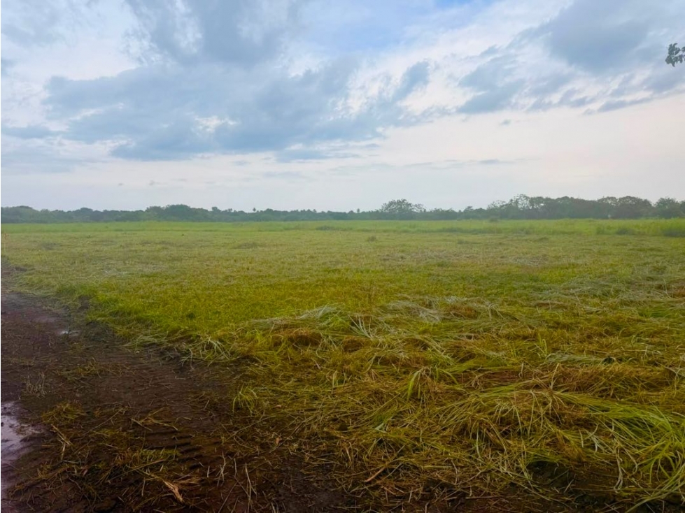 VENTA LOTE EN ANTÓN ÁREA FRESCA TU PROYECTO EMPIEZA AQUÍ 600M2 - 2