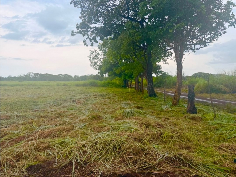 VENTA LOTE EN ANTÓN ÁREA FRESCA TU PROYECTO EMPIEZA AQUÍ 600M2 - 3