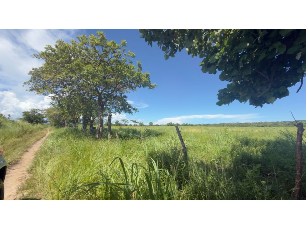 VENTA LOTE EN ANTÓN ÁREA FRESCA TU PROYECTO EMPIEZA AQUÍ 600M2 - 5