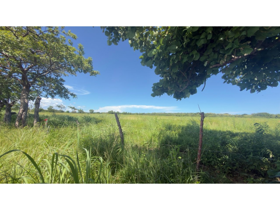 VENTA LOTE EN ANTÓN ÁREA FRESCA TU PROYECTO EMPIEZA AQUÍ 600M2 - 6
