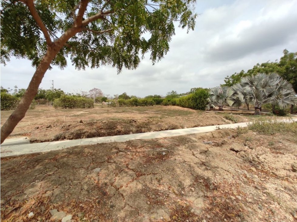 Venta lote en cesión para construir en zona norte Brisas de Cartagena — foto 3