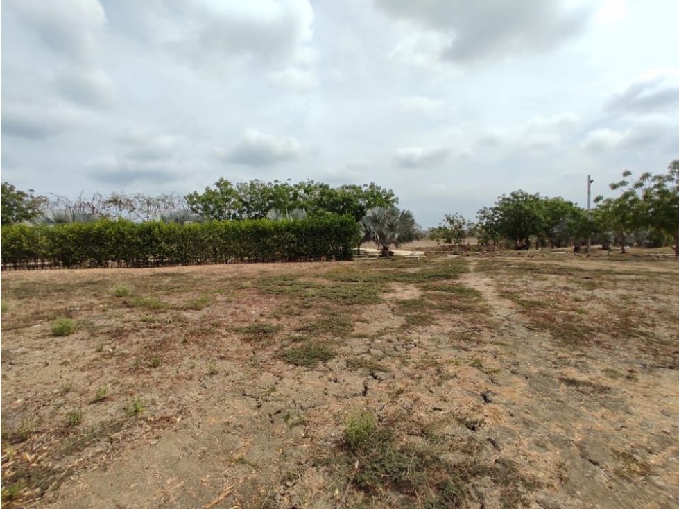 Venta lote en cesión para construir en zona norte Brisas de Cartagena — foto 4