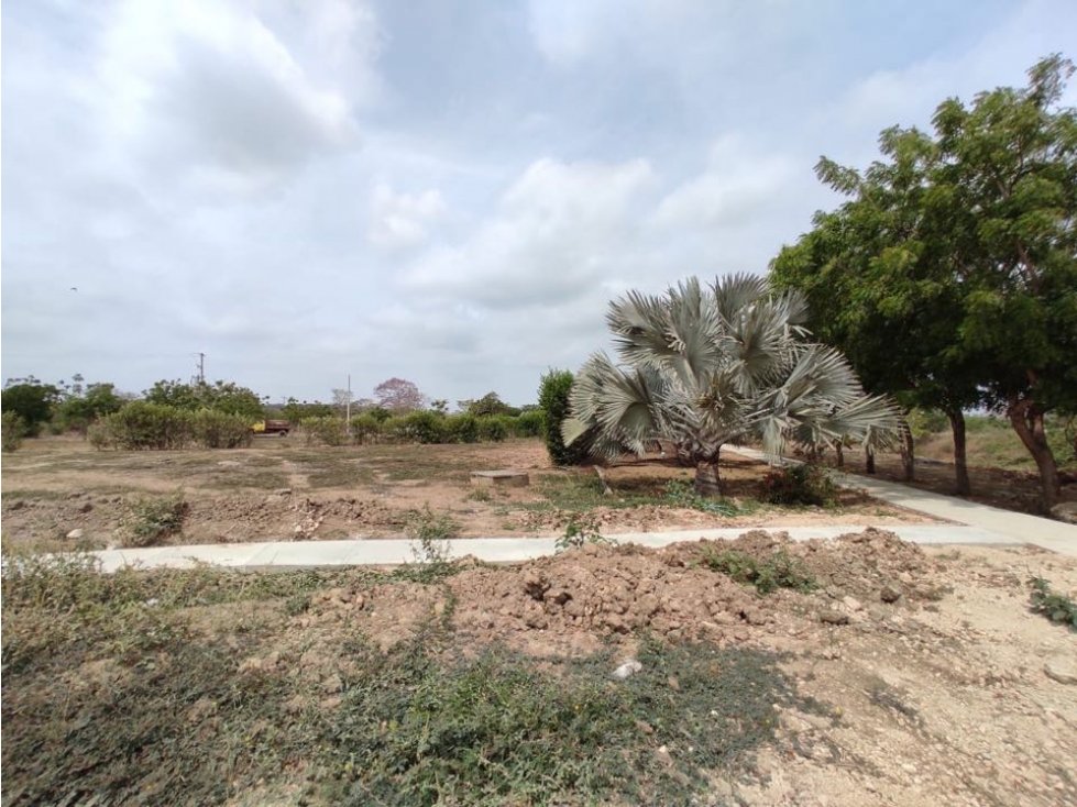 Venta lote en cesión para construir en zona norte Brisas de Cartagena — foto 5