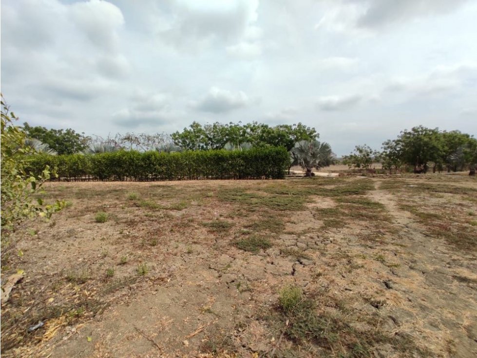 Venta lote en cesión para construir en zona norte Brisas de Cartagena — foto 6