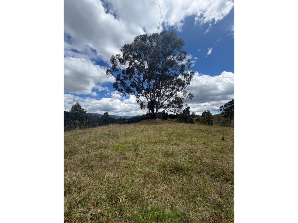 Venta LOTE en el RETIRO - Para construir CASA campestre El Pantanillo