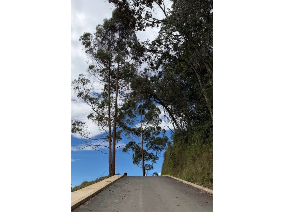 Venta LOTE en el RETIRO - Para construir CASA campestre El Pantanillo — foto 4