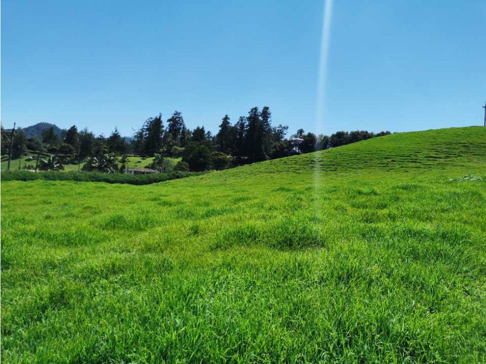 Venta Lote en El Retiro Sector la Maria - 1