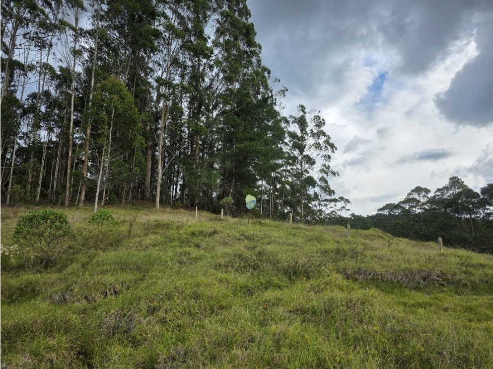 Venta lote en El Retiro. Sector Pantanillo. Opción de Financiación - 1