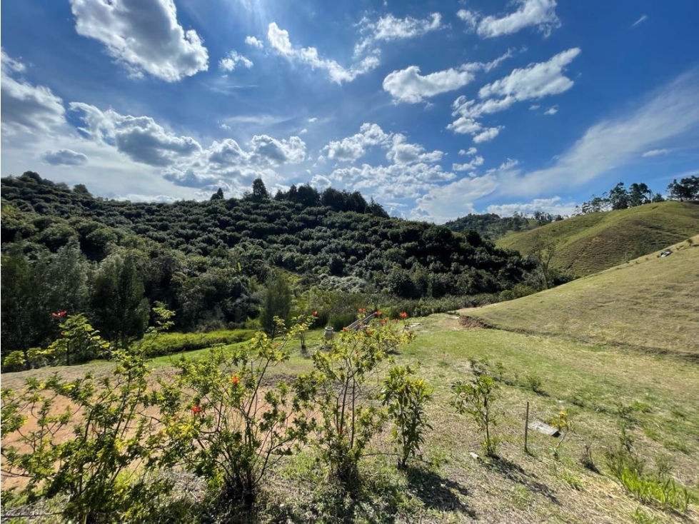 Venta lote en Excelente parcelación vereda la mosquita - 3