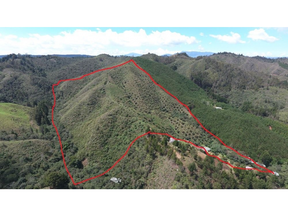 VENTA LOTE EN GUARNE PARA PARCELAR, VEREDA BATEA SECA, ANTIOQUIA — foto 3