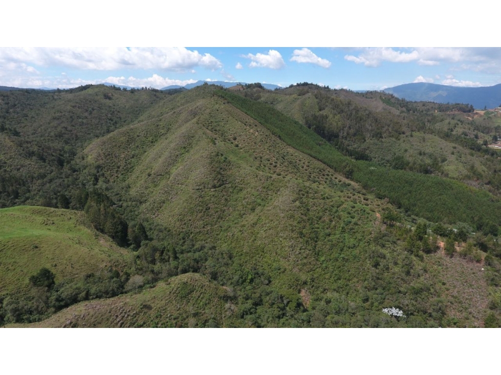 VENTA LOTE EN GUARNE PARA PARCELAR, VEREDA BATEA SECA, ANTIOQUIA — foto 5