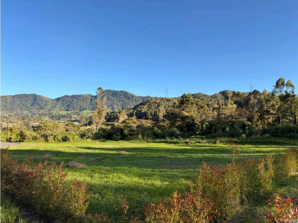 Venta lote ,Municipio de La Ceja sector El Tambo, a 3km del parque!