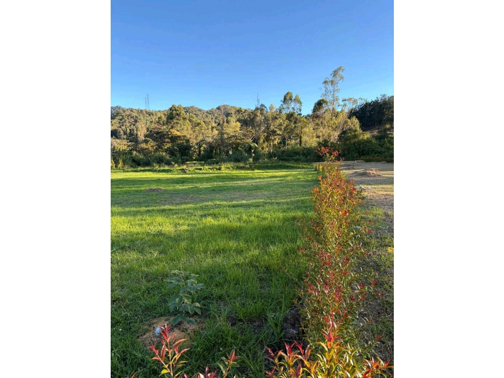 Venta lote ,Municipio de La Ceja sector El Tambo, a 3km del parque! — foto 6