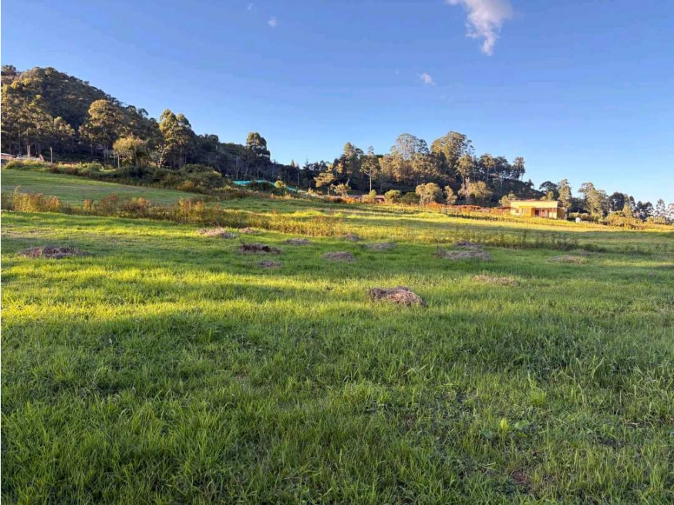 Venta lote ,Municipio de La Ceja sector El Tambo, a 3km del parque! — foto 3