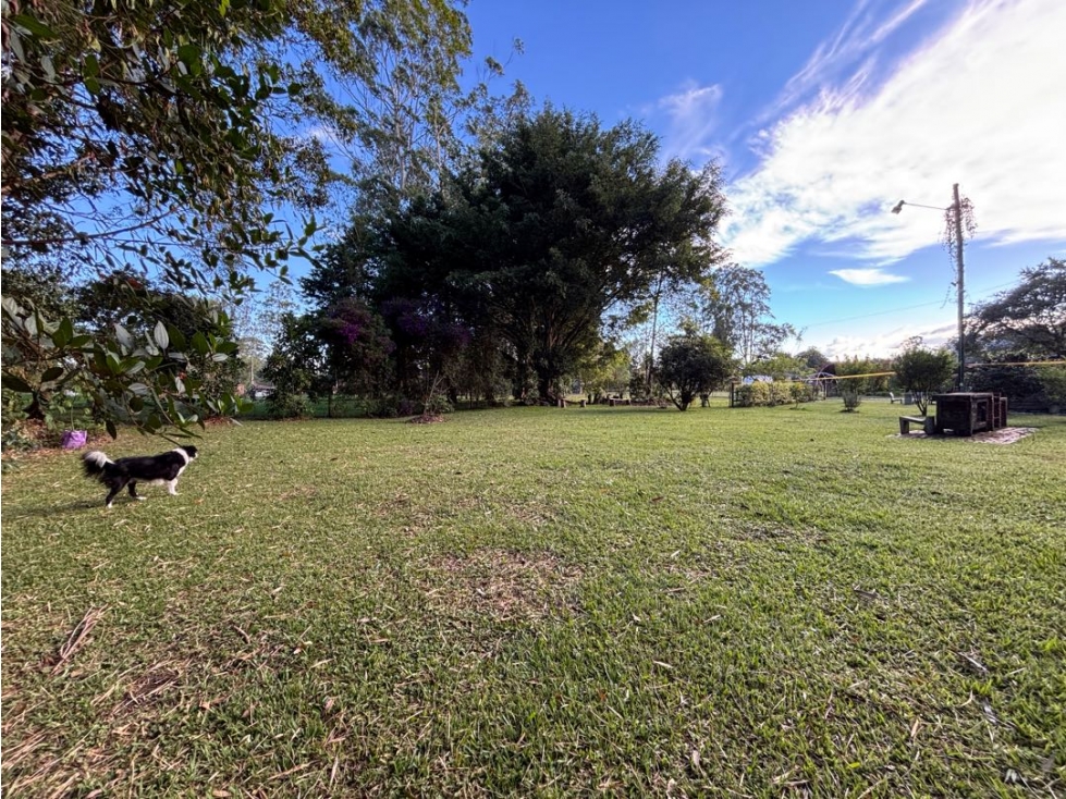 Venta lote en Llanogrande Rionegro plano con bosque nativo — foto 3