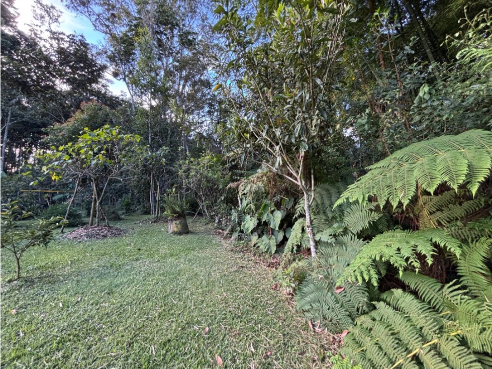 Venta lote en Llanogrande Rionegro plano con bosque nativo — foto 5