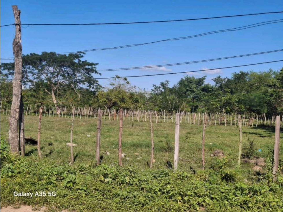 VENTA LOTE EN MARTINEZ, CERETE. AREA: 2 000 M2 - 2