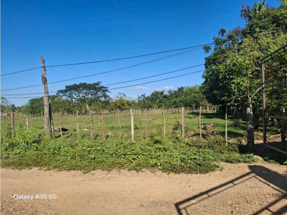 VENTA LOTE EN MARTINEZ, CERETE. AREA: 2 000 M2 - 3