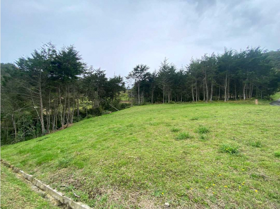 Venta lote en parcelacion entre Don Diego y La Ceja,1.831 mt2 — foto 5