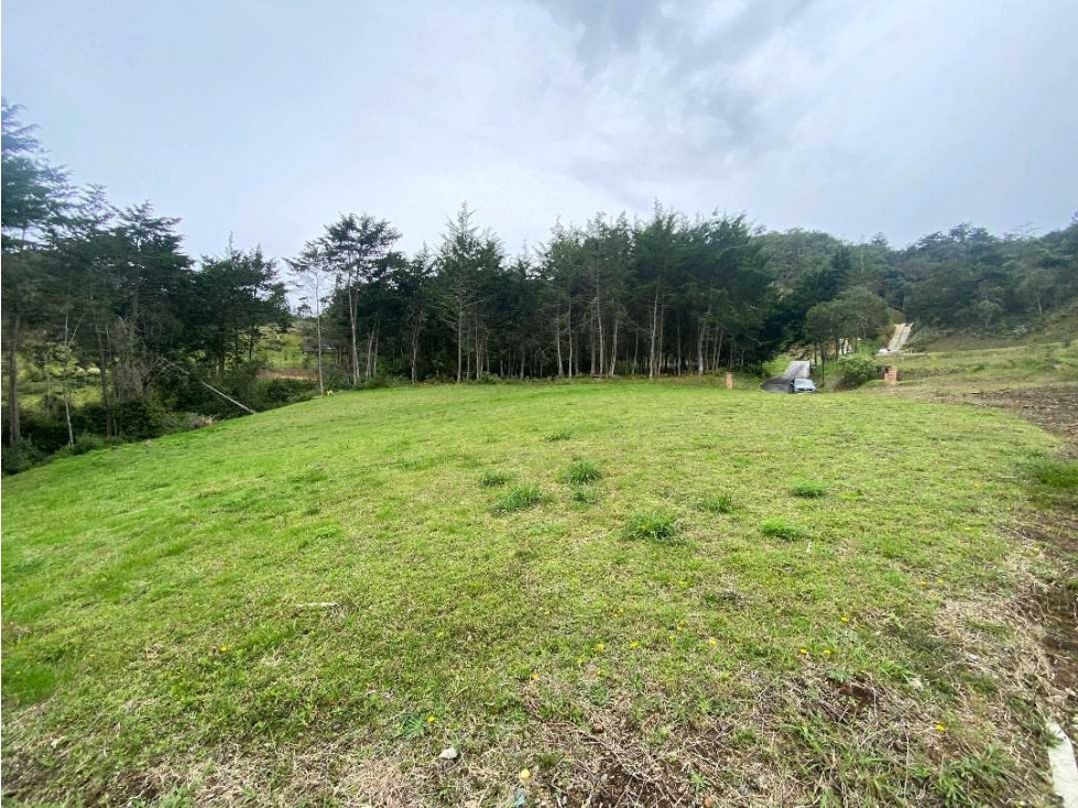 Venta lote en parcelacion entre Don Diego y La Ceja,1.831 mt2 — foto 6