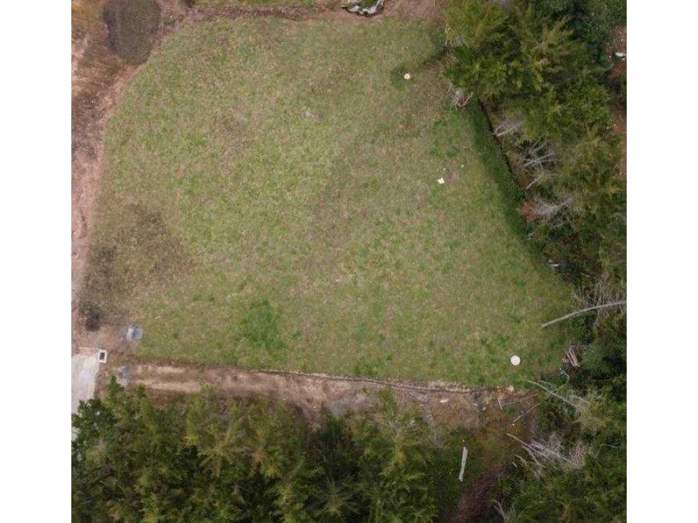 Venta lote en parcelacion entre Don Diego y La Ceja,1.831 mt2 — foto 4