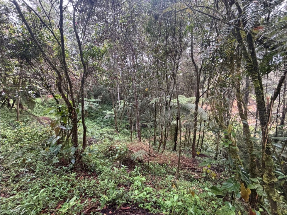 Venta lote en Pontezuela Rionegro de 6.871 m² en parcelación — foto 2