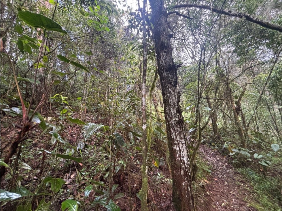 Venta lote en Pontezuela Rionegro de 6.871 m² en parcelación — foto 3