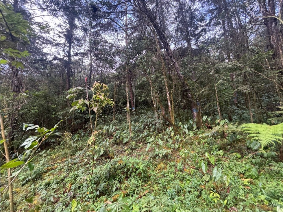 Venta lote en Pontezuela Rionegro de 6.871 m² en parcelación — foto 4