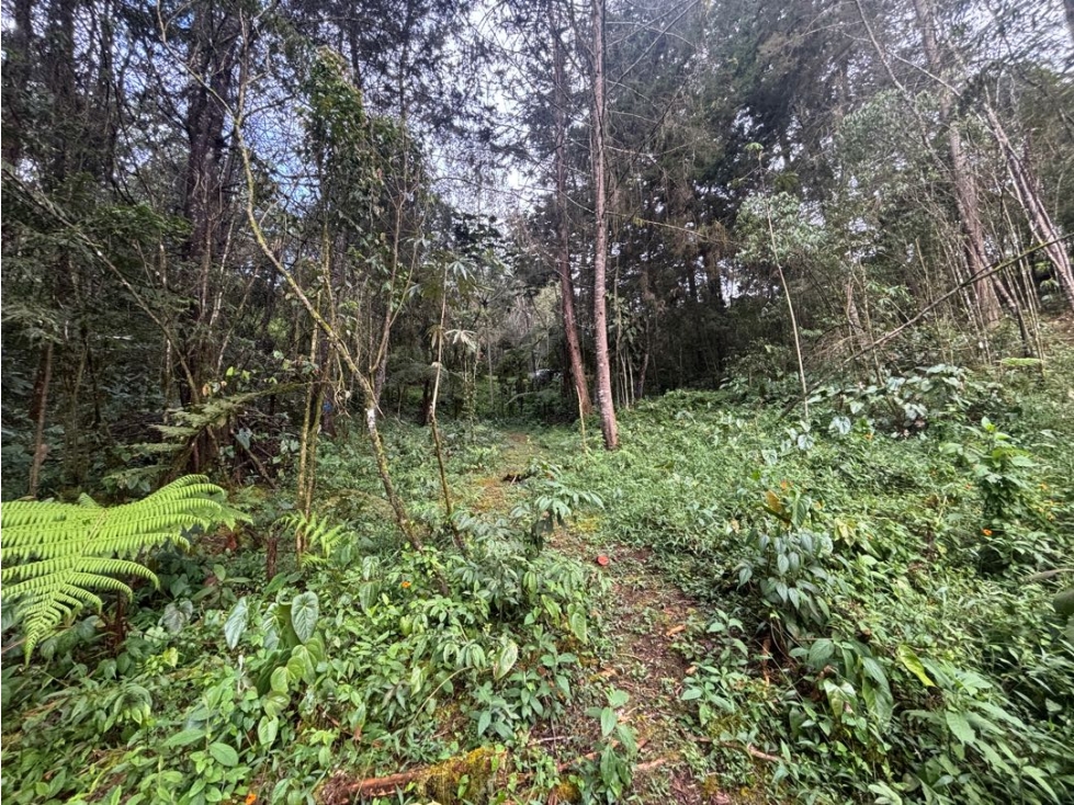 Venta lote en Pontezuela Rionegro de 6.871 m² en parcelación — foto 5