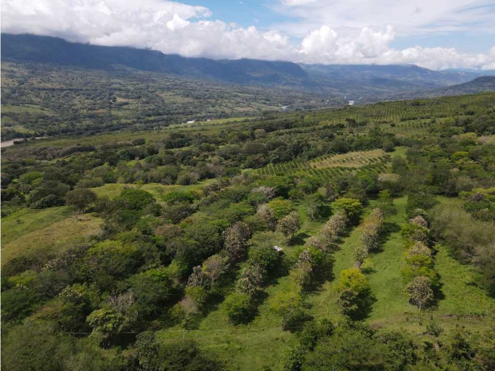 VENTA LOTE, FREDONIA- SUROESTE ANTIOQUEÑO - 2