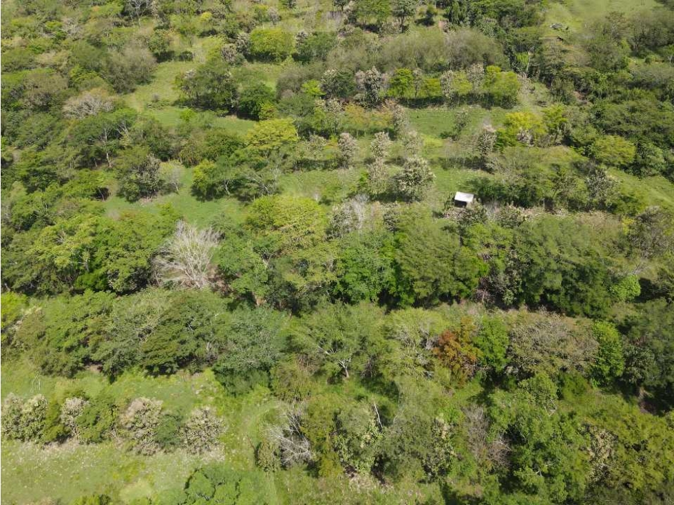 VENTA LOTE, FREDONIA- SUROESTE ANTIOQUEÑO - 3