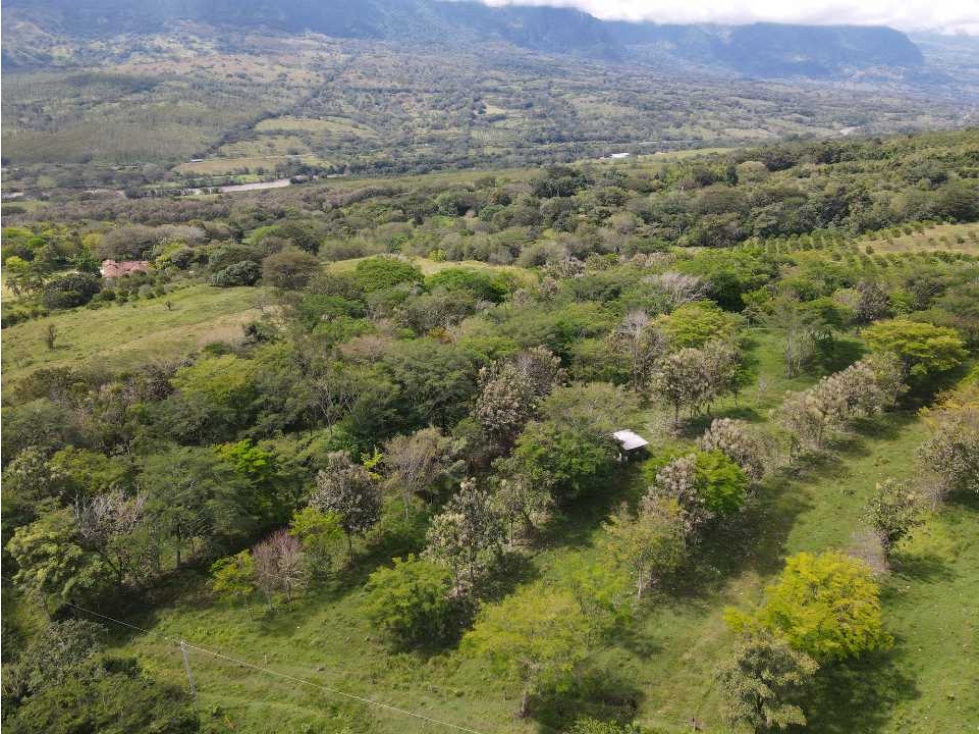 VENTA LOTE, FREDONIA- SUROESTE ANTIOQUEÑO - 5