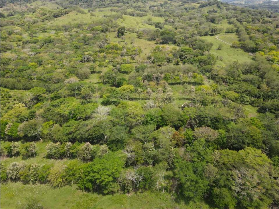 VENTA LOTE, FREDONIA- SUROESTE ANTIOQUEÑO - 6