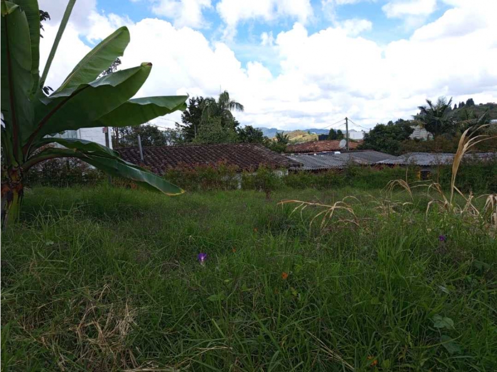 VENTA LOTE RIONEGRO ANTOOQUIA. CERCA AL AEROPUERTO JMC./(BJ) MEDELLÍN