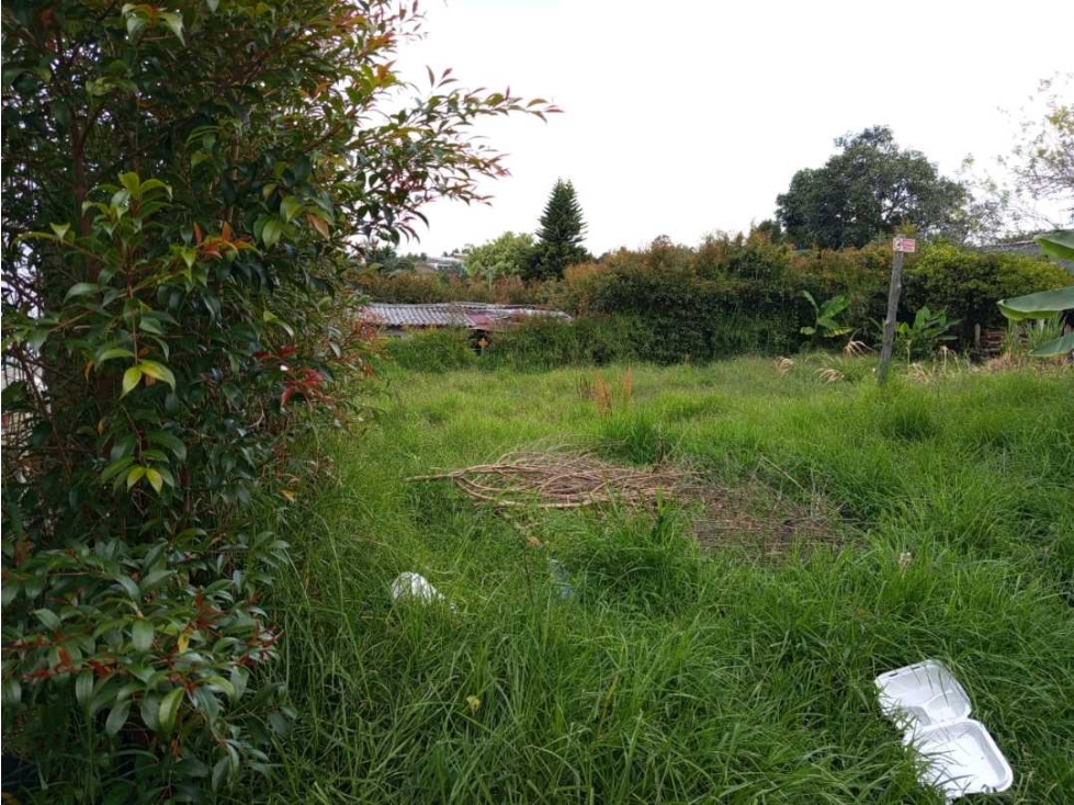 VENTA LOTE RIONEGRO ANTOOQUIA. CERCA AL AEROPUERTO JMC./(BJ) MEDELLÍN — foto 2