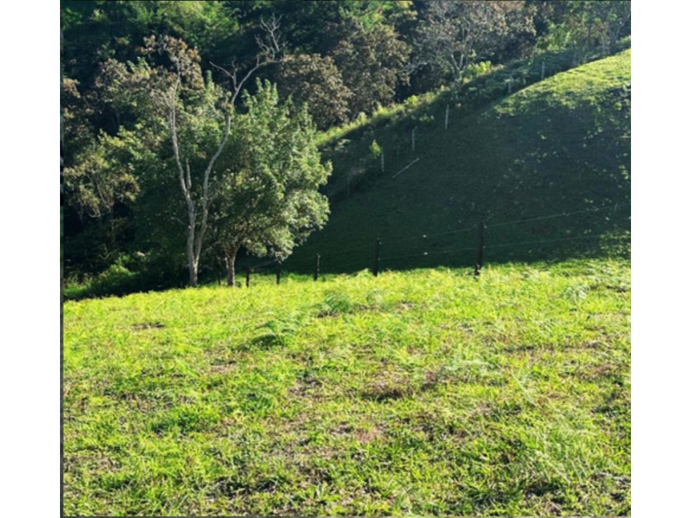 Venta lote en Rionegro de 5.000 m² con derecho de acueducto - 3