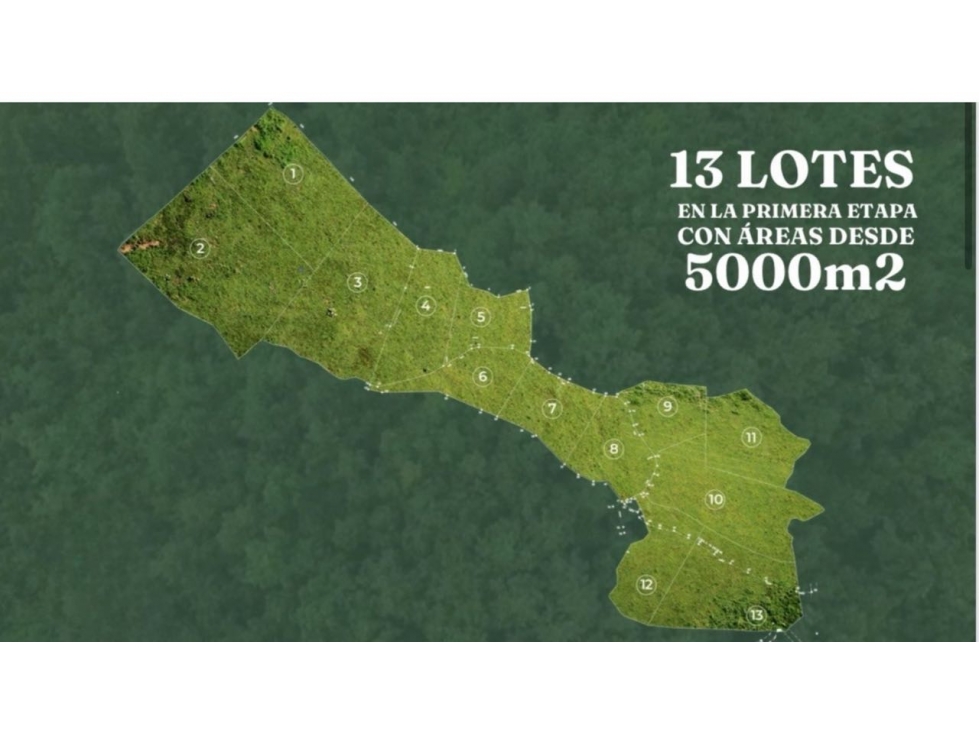 Venta lote en Rionegro de 11.657 m² con quebrada y vista - 3