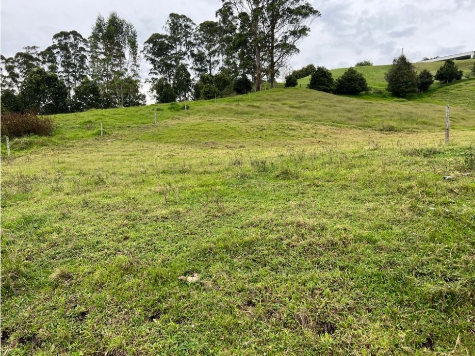 Venta Lote En Rionegro pontezuela