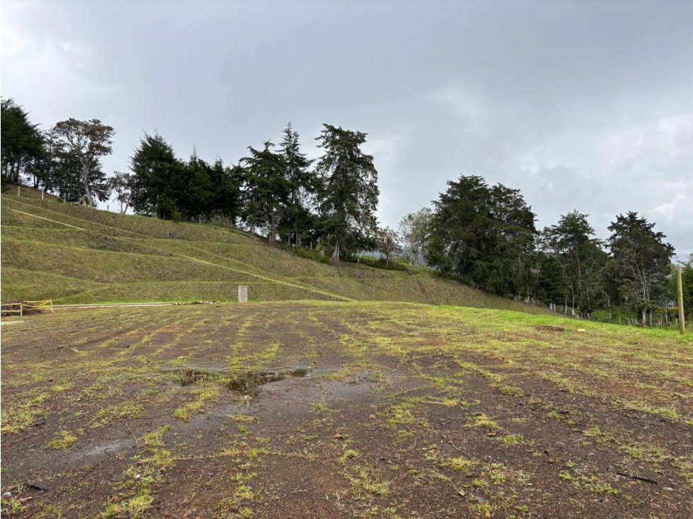Venta lote en San Nicolás Pontezuela con vista al Valle de San Nicolás — foto 3