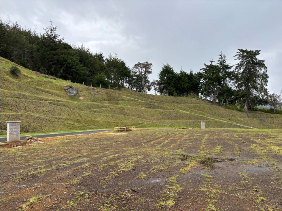 Venta lote en San Nicolás Pontezuela con vista al Valle de San Nicolás — foto 4