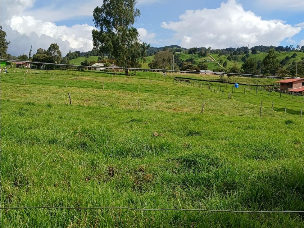 VENTA LOTE EN SAN PEDRO DELOS MILAGROS