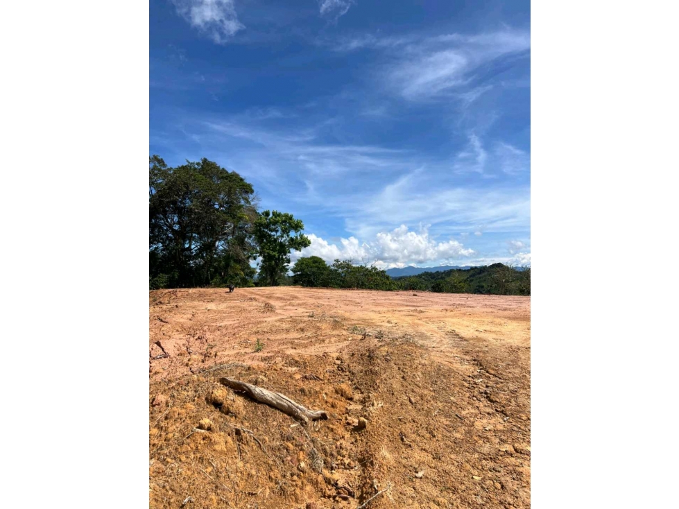 Venta Lote en San Roque corregimiento Cristales - 1