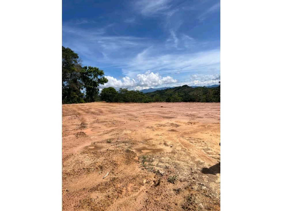 Venta Lote en San Roque corregimiento Cristales - 2