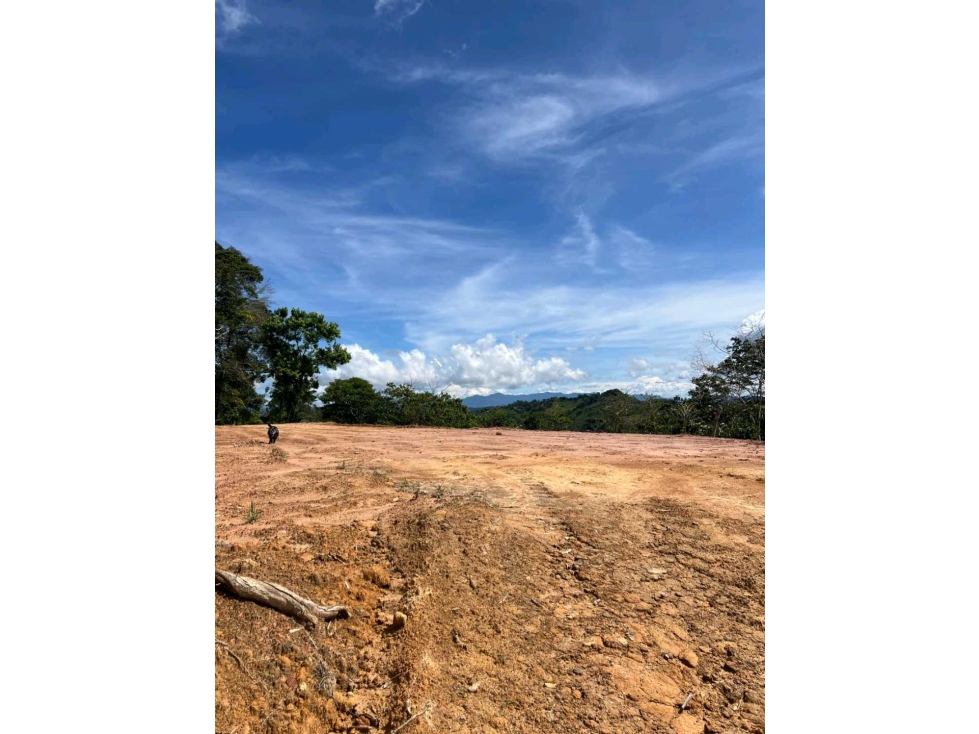 Venta Lote en San Roque corregimiento Cristales - 3