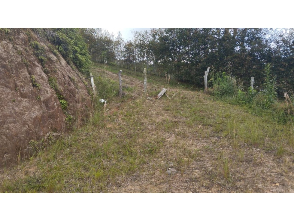 Venta LOTE en SANTO DOMINGO cerca al pueblo - 2