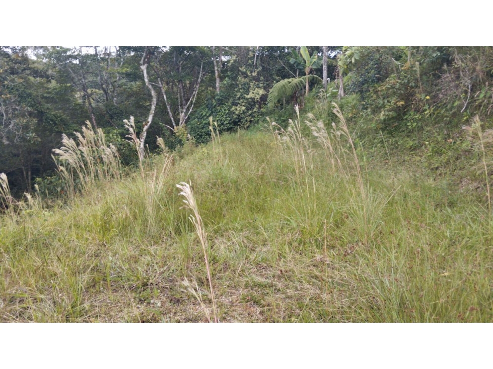 Venta LOTE en SANTO DOMINGO cerca al pueblo - 3